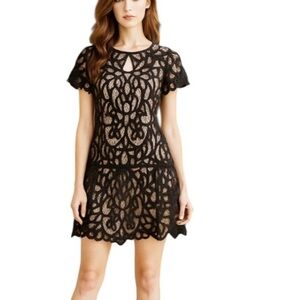 Aritzia Wilfred Le Fou Black Lace Cut Out Back Dress Size small